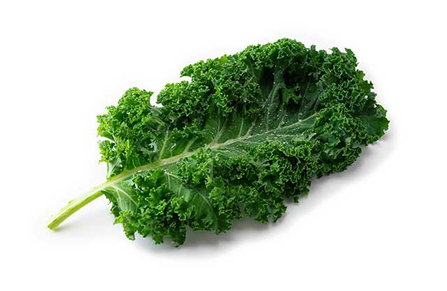 A Large Kale Leaf On a White Background.