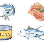 Different types of tuna - whole fish, canned tuna, cooked tuna flesh.