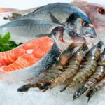 Raw fish and shellfish on a display containing ice.